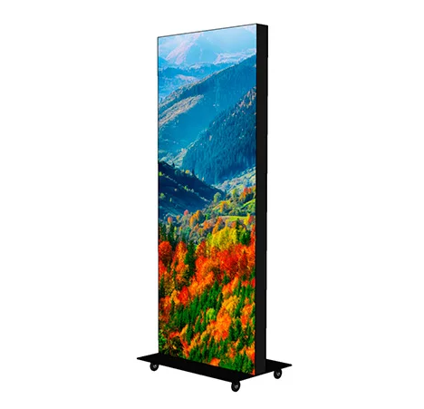P2.5 Indoor  640X1920mm LED Screen Cabinet